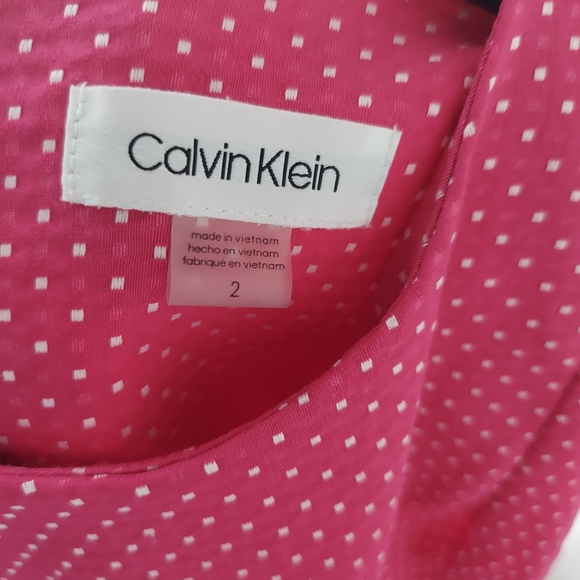 Calvin Klein Pink Polka Dot Princess Seam Dress - Picture 6 of 7